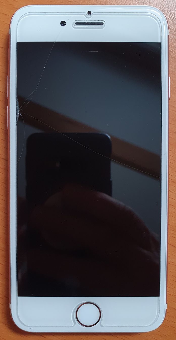 Apple Telefoni cellulari / Smartphones: iPhone 7 32GB Rose Gold – Usato da Richterswil venduto da Sommerbeast 1