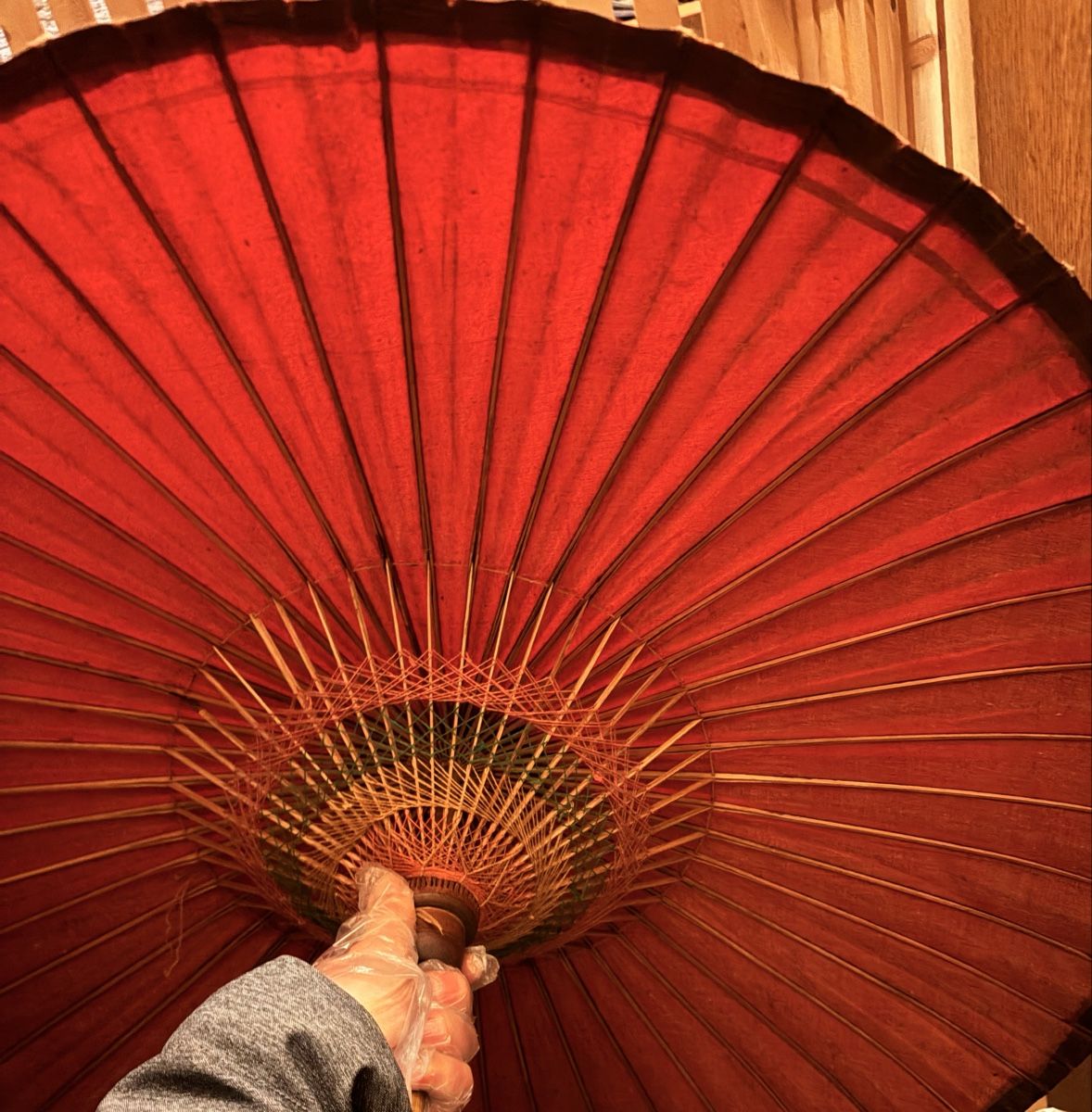 Regenschirme: Ancienne ombrelle, japonaise – Gebraucht aus Carouge GE von irma016 1