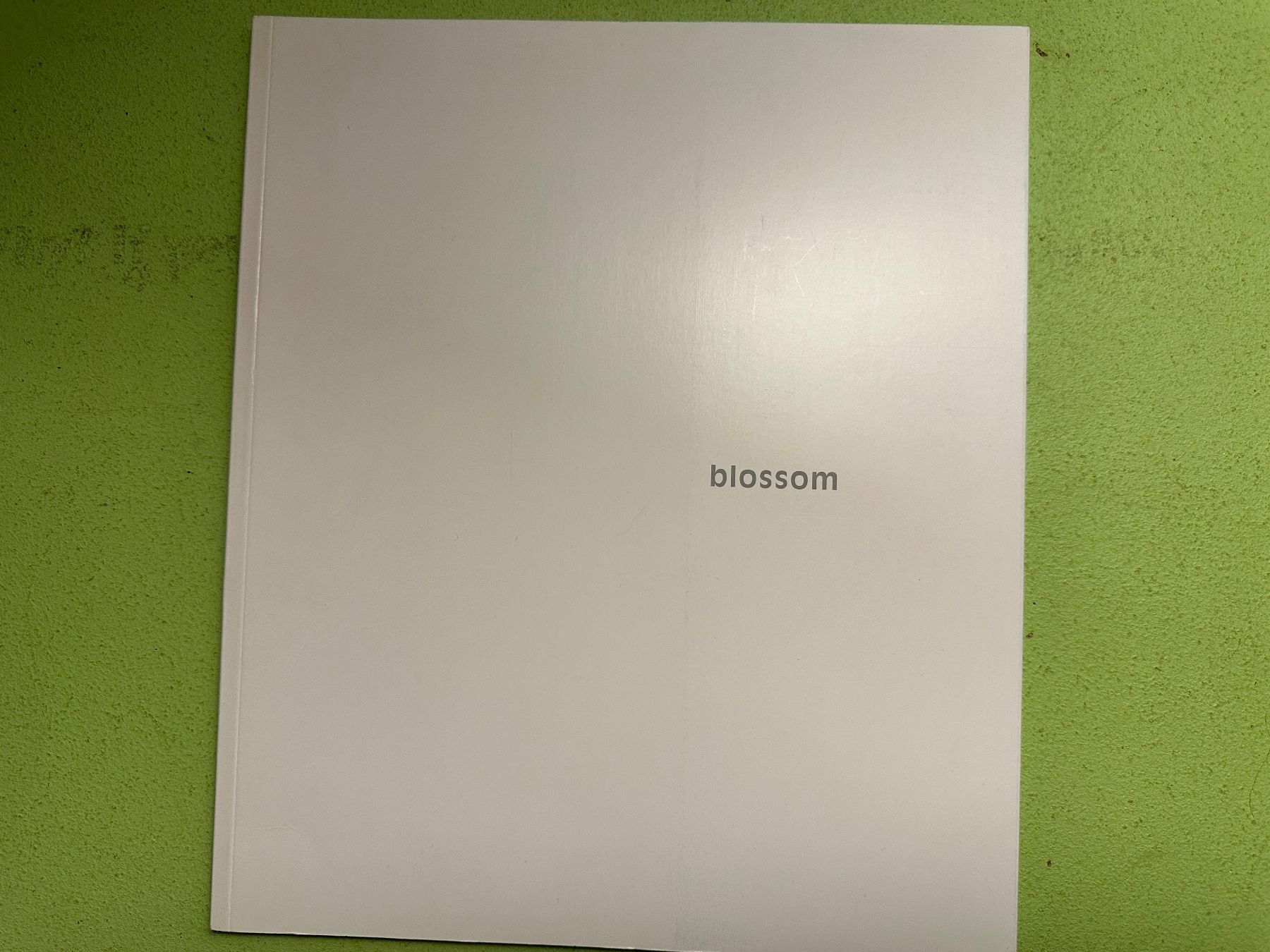 Libri: Angela Lyn: blossom blossom. – Usato da Zürich venduto da allp