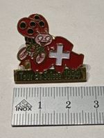 Pin Blick Käfer / Tour de Swiss 1994