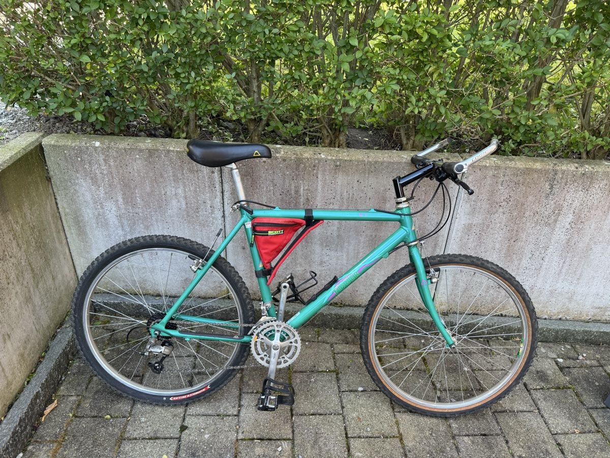 Fischer Biciclette: Fischer Fahrrad – Nuovo (secondo la descrizione) da Kollbrunn venduto da Du-j05