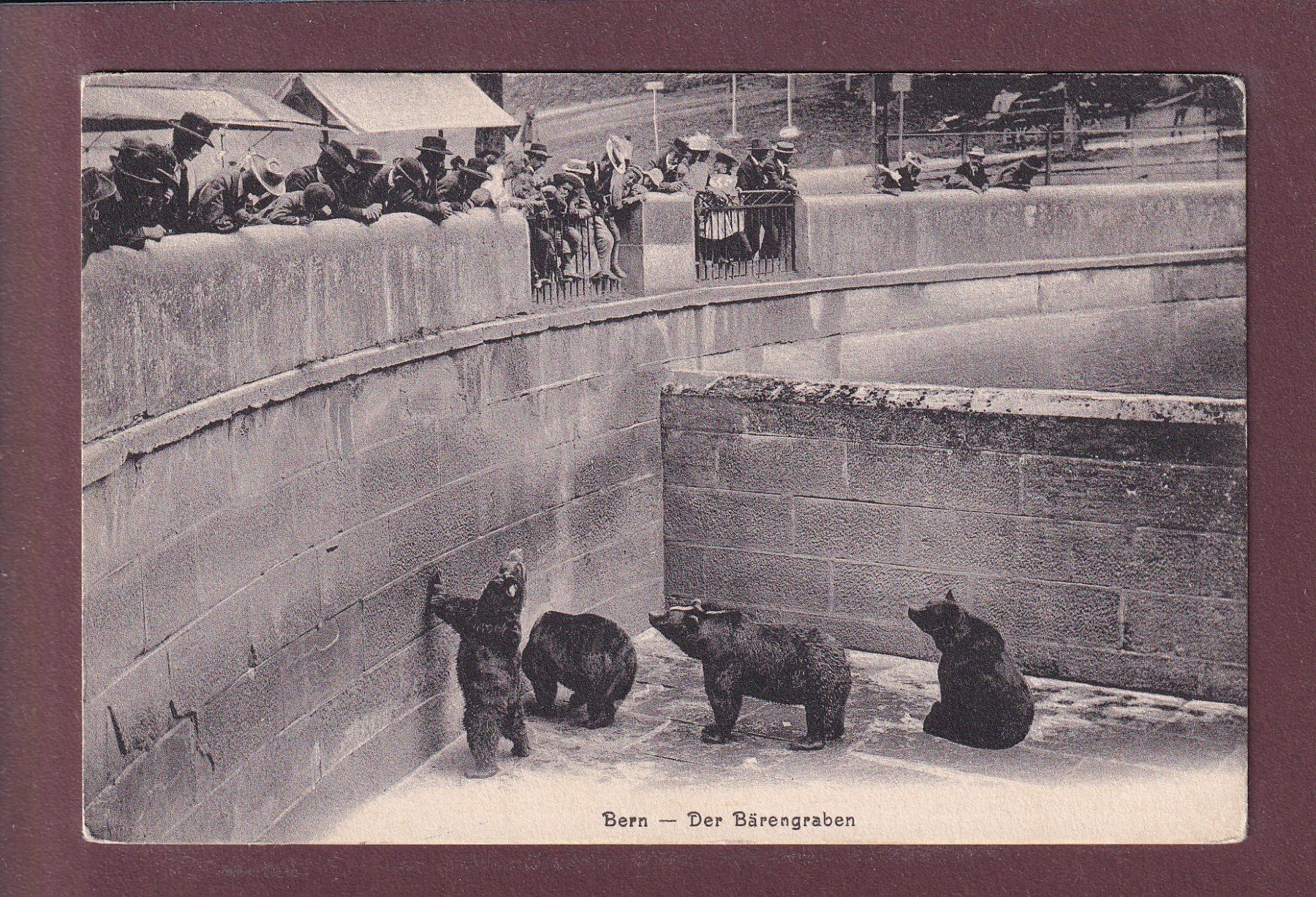 Cartes postales: BERN - Bärengraben – D'occasion à Pully par nicecards