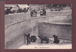 BERN - Bärengraben