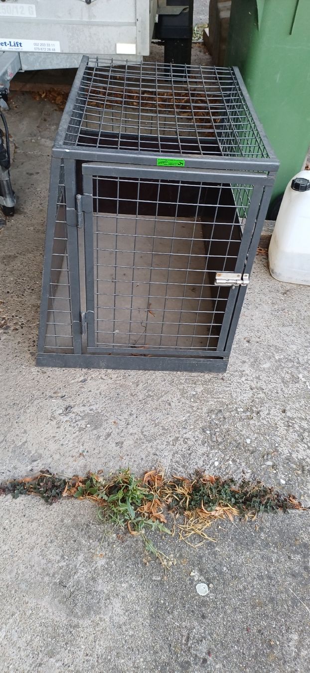 Meiko Gabbie, trasporto & Sicurezza: Hundetransportpox – Usato da Wängi venduto da Koebi62 3