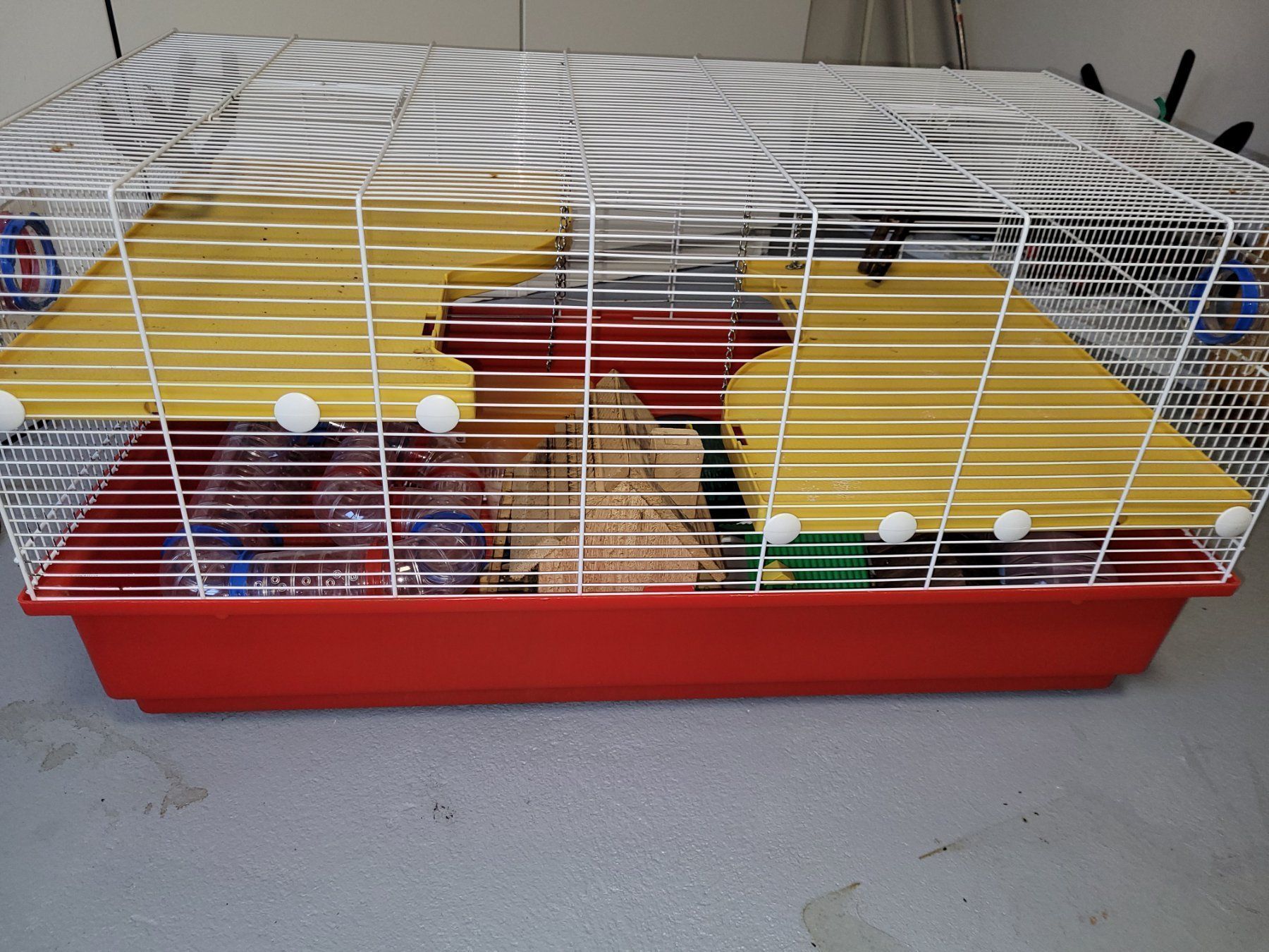 Gabbie, trasporto & Sicurezza: Cage pour rongeurs – Usato da Cernier venduto da Casimir1 1