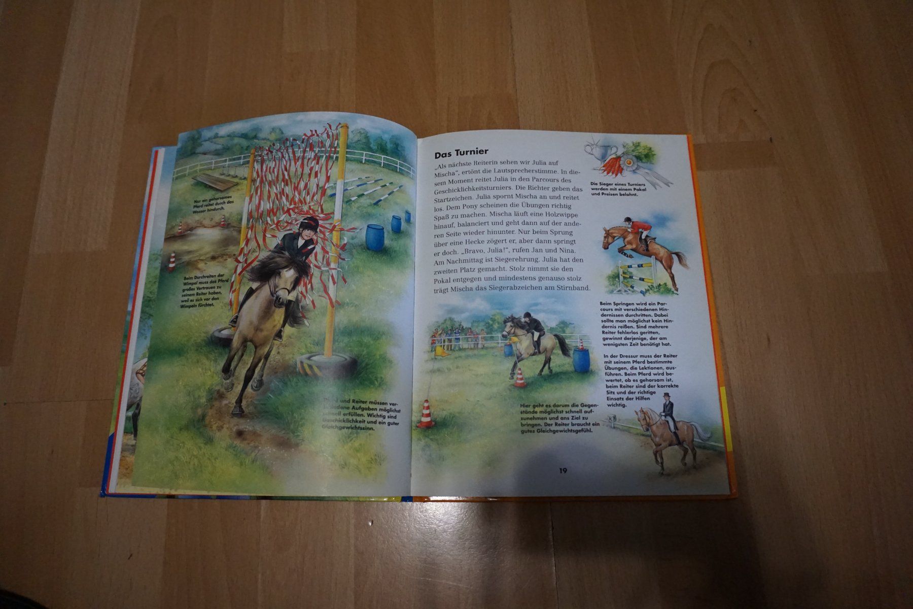Libri: Kinderbuch "Pferde" - Erstes Wissen – Usato da Zürich venduto da einalemjena 1