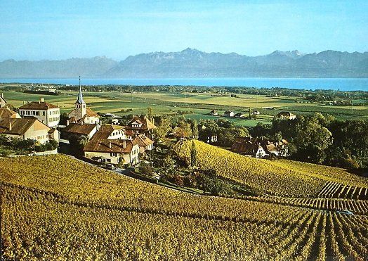 Cartoline postali: FECHY – Usato da Jona venduto da philajona