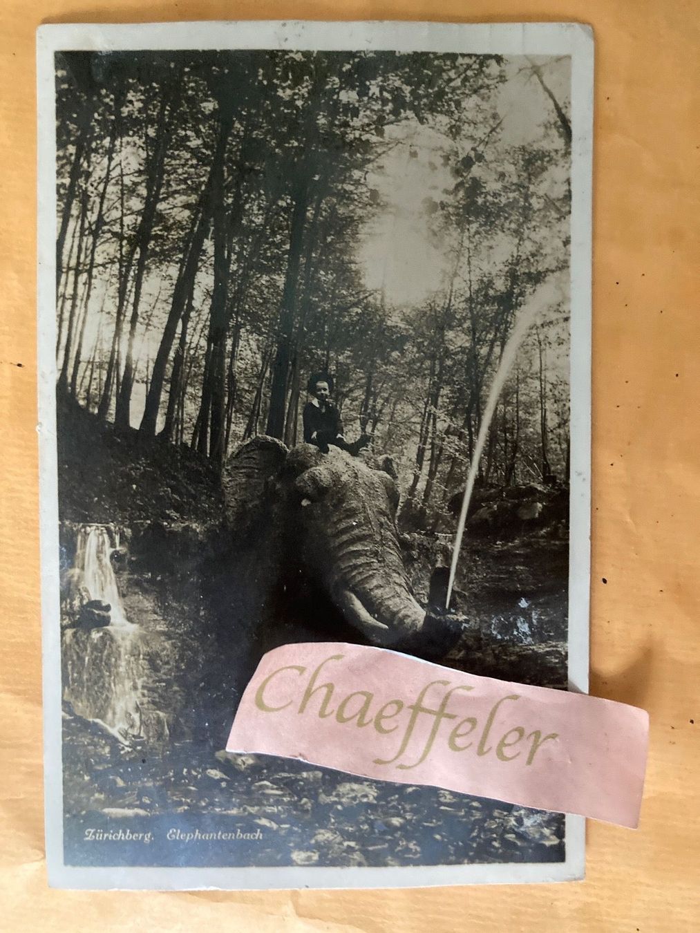 Cartoline postali: 1925 Zürichberg, Elefantenbach – Usato da Zürich venduto da Chaeffeler