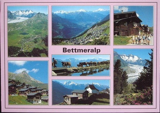 Cartes postales: BETTMERALP Wallis – D'occasion à Jona par philajona