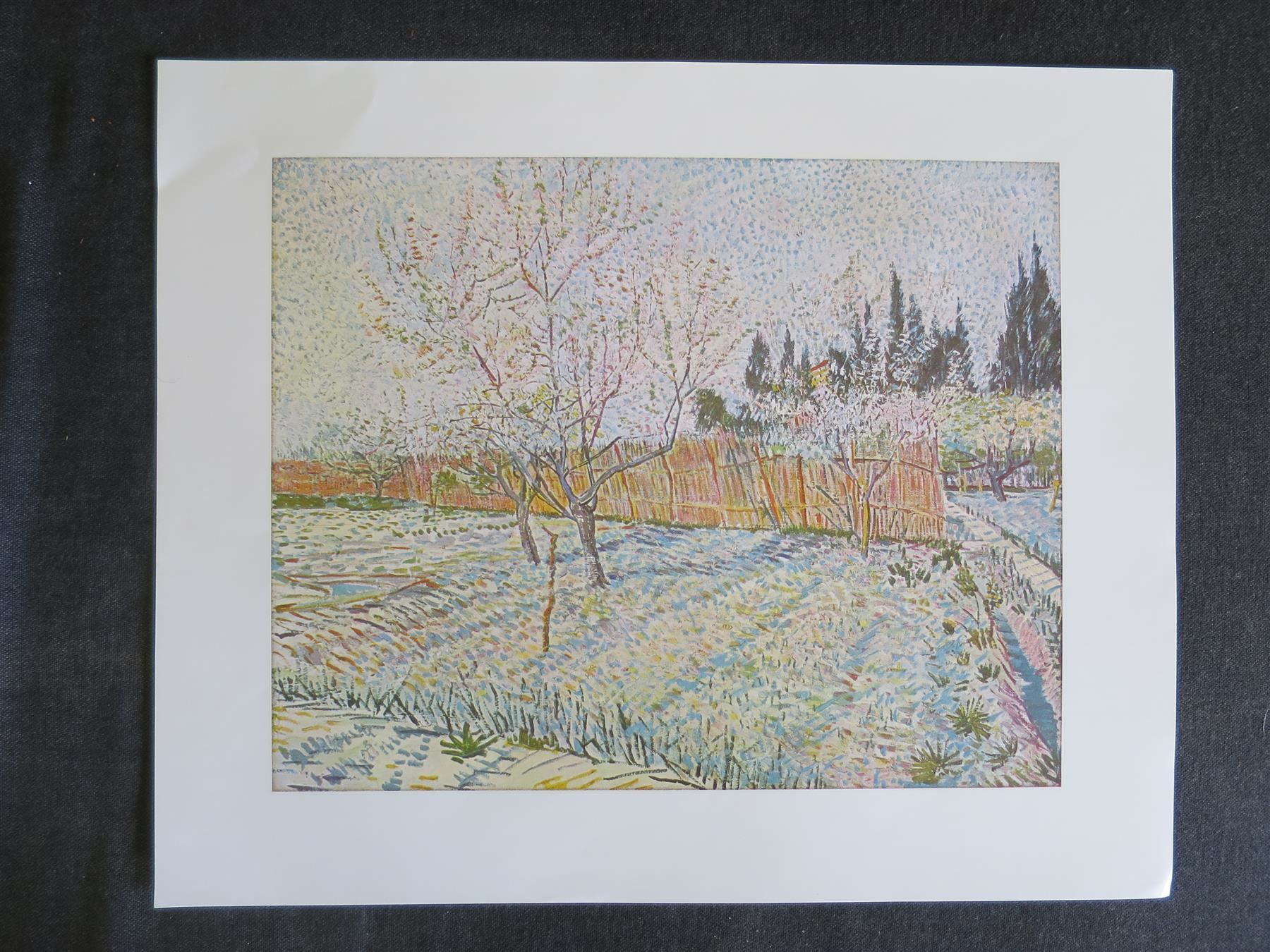 Foto & Immagini: Van Gogh - 5 Kunstdrucke – Usato da basel venduto da setomse 2