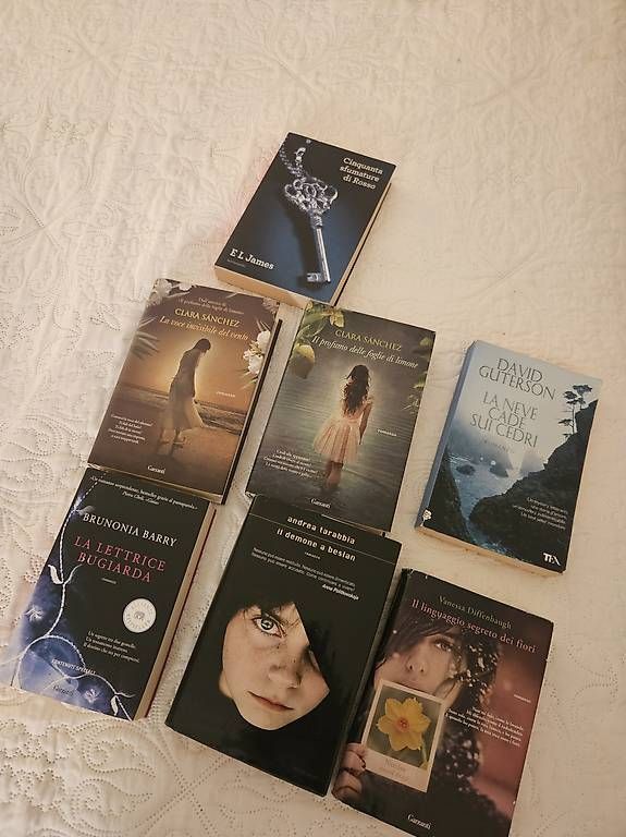 Bücher: Vendo romanzi  – Gebraucht aus Bellinzona von cat_fnx5