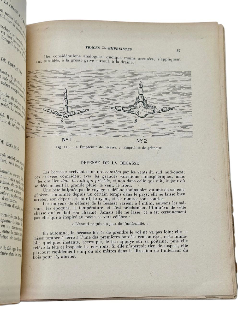 Libri: Subtilités de la chasse à la bécasse. Édition originale 1943 – Usato da Morges venduto da vintix 4