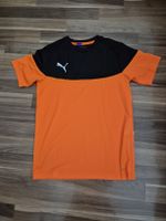 Puma Shirt Gr. 164
