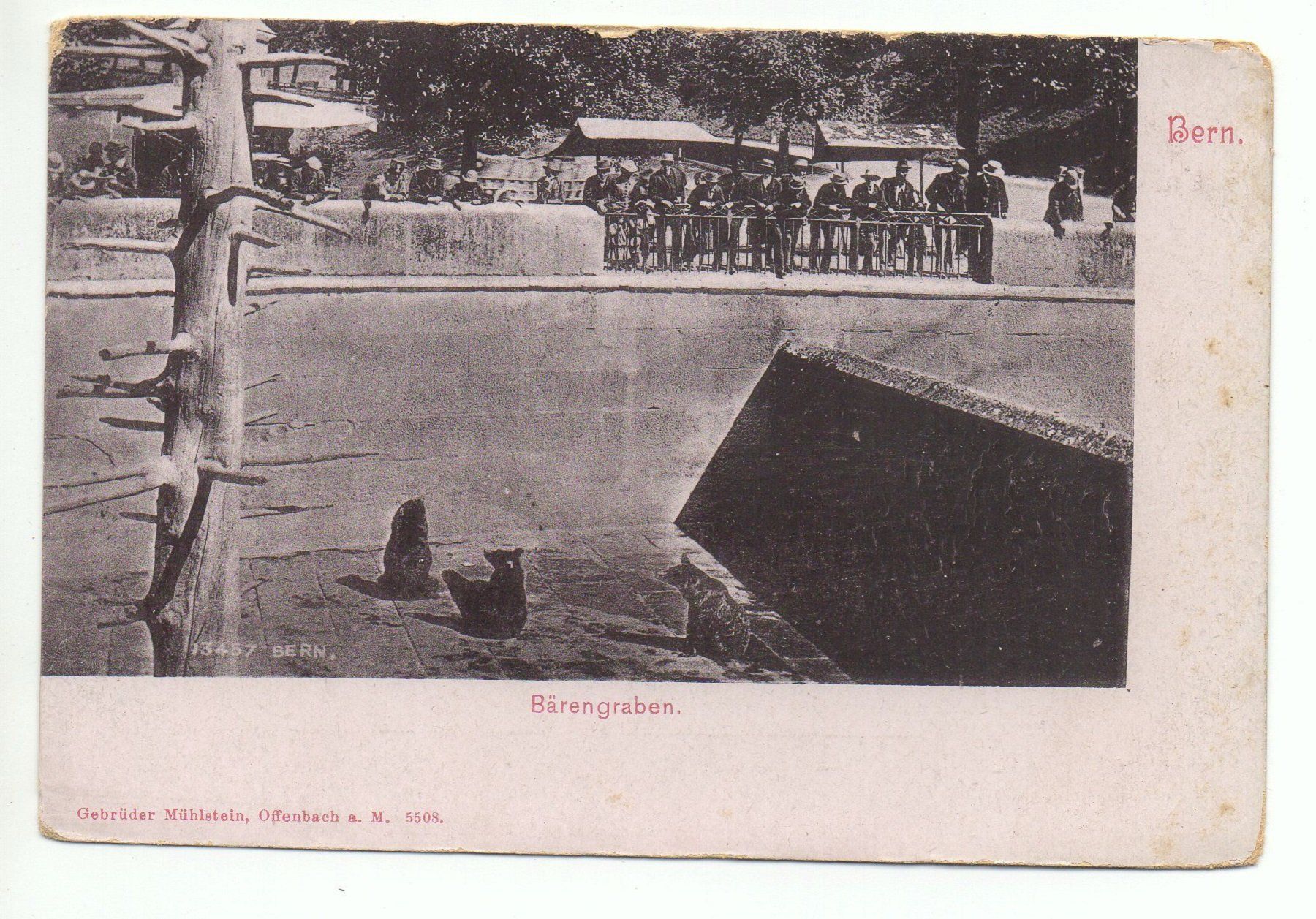 Cartoline postali: BERN Bärengraben – Usato da Jona venduto da philajona