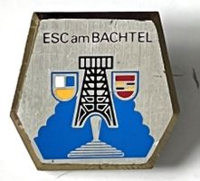 Anstecknadel ESC Bachtel
