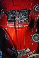 Originale Mustang US Auto Decke 1960 Pop Art