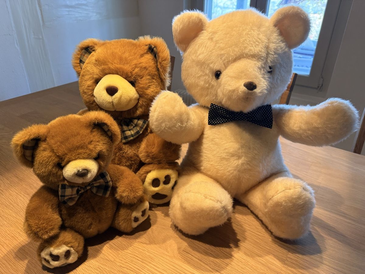 Giocattoli: Teddybären zu verkaufen – Usato da Gysenstein venduto da bwu_d597