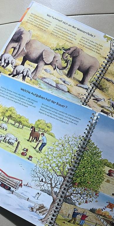 Libri: Warum? Kinderbuch – Usato da Zürich venduto da joo_hrd5 2