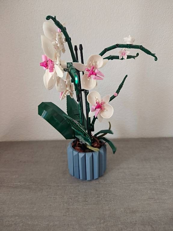 Giocattoli: Lego Orchideen Set – Usato da Kirchberg BE venduto da naa_lxk5
