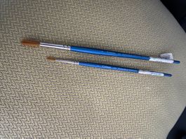 Winsor & Newton Cotman Pinsel Set, Grösse 2 & 6 - Neu!