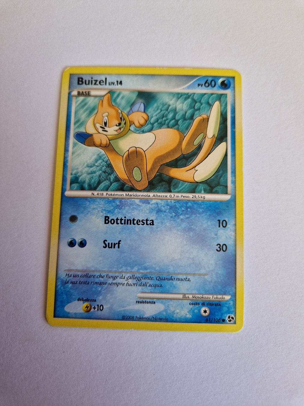 Pokémon Carte collezionabili: Buizel - Great Encounters - IT – Usato da Romont FR venduto da raj_sjv9