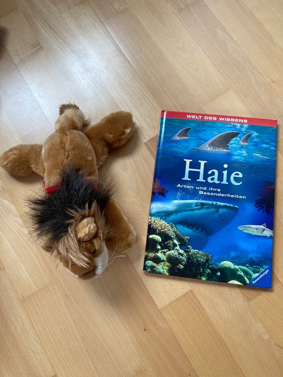 HaieBuch und Plüschlöwe Kaufen auf Ricardo