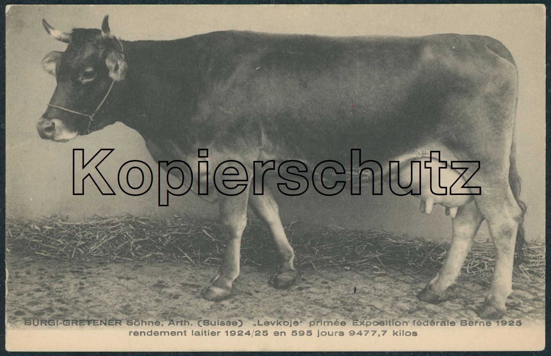 Cartoline postali: SZ Arth - Landwirtschaft – Nuovo (secondo la descrizione) da Schindellegi venduto da Jonathan77