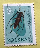Briefmarken aus  Polen gestempelt  Siehe Original Fotos. 