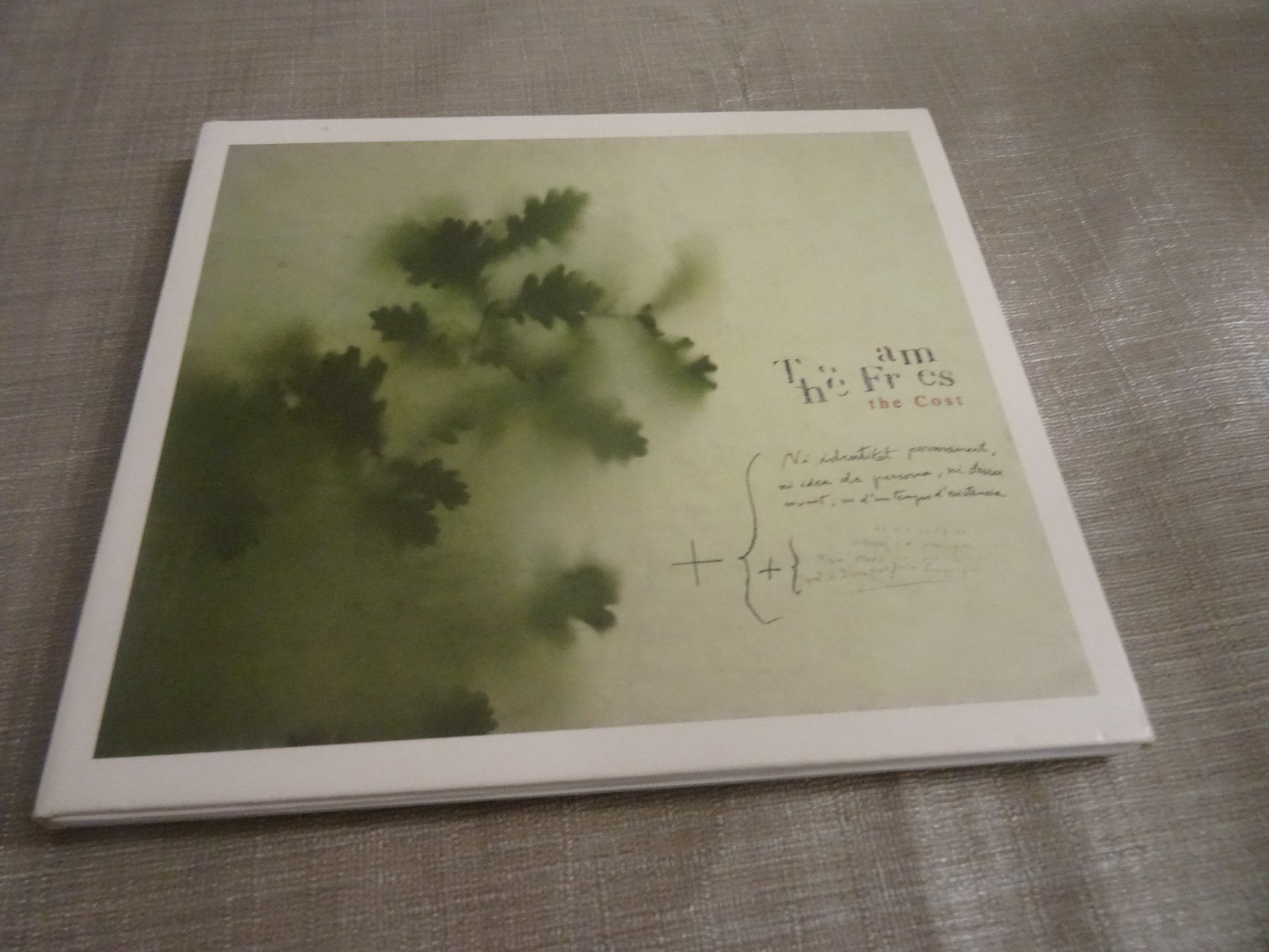 CD: The Frames - The Cost CD – Usato da Olten venduto da Disc-Ausverkauf