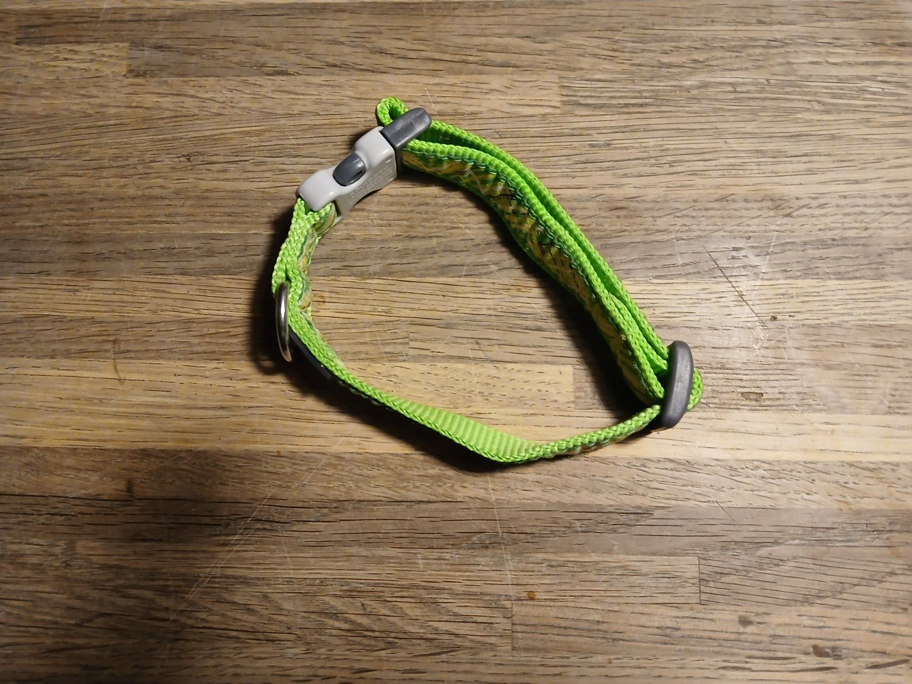 Guinzagli & Collari: Halsband RedDingo – Usato da Oberramsern venduto da lal_7v57 3