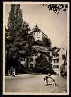 AK Werdenberg, Straßenpartie mit Blick zum Schloss Werdenber