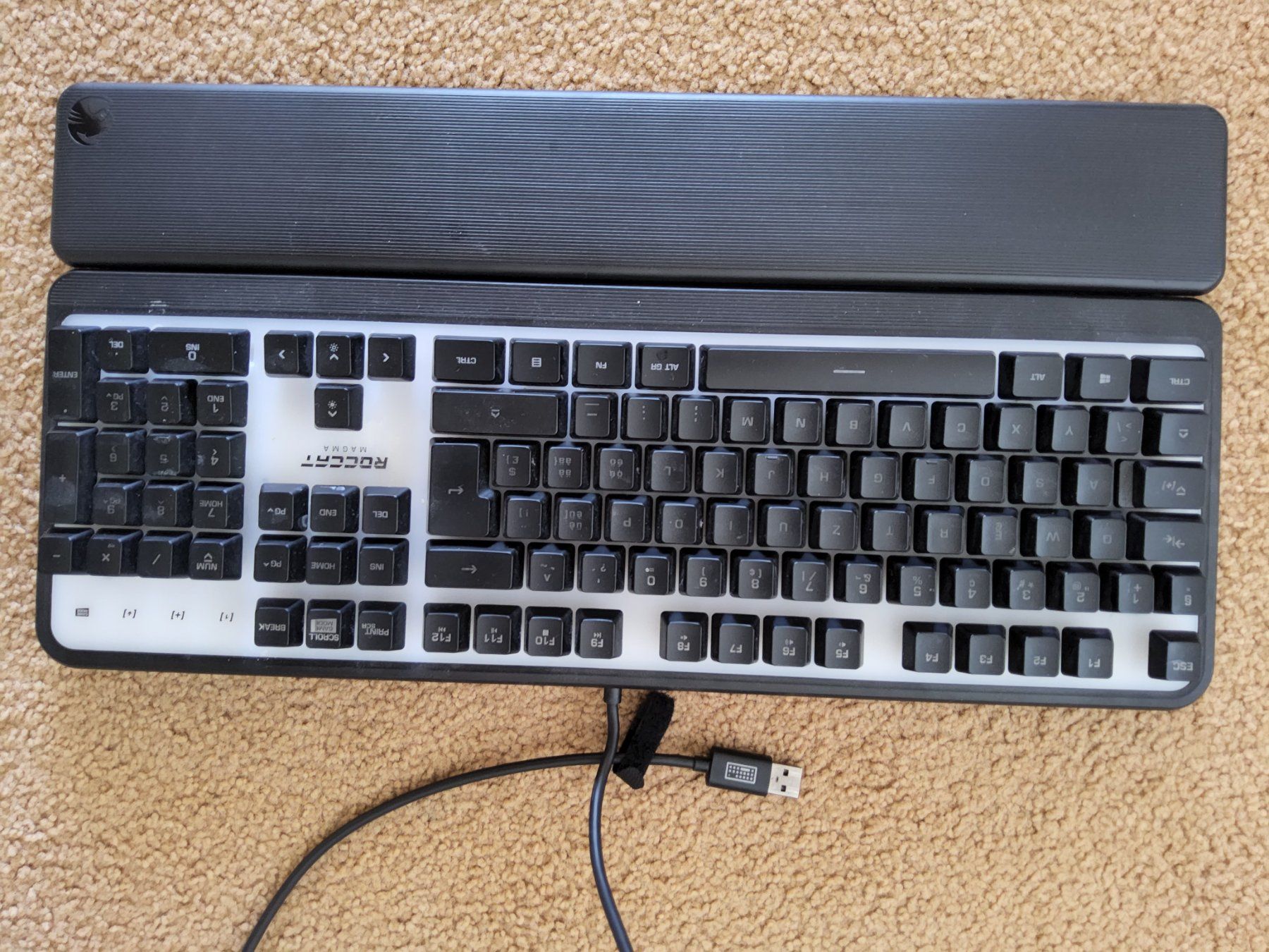Roccat Tastiere: Membran Tastatur – Usato da Niederbipp venduto da donaldo11