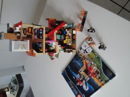 LEGO Harry Potter 75980 Angriff auf den Fuchsbau