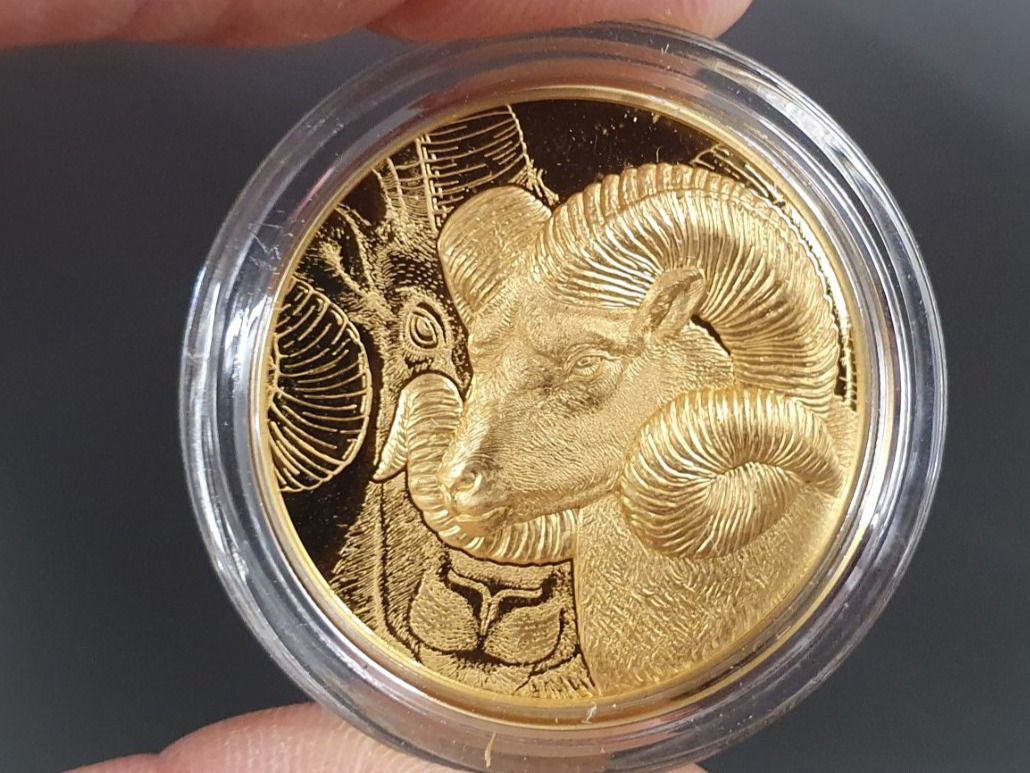 Tutti le monete: Goldmünze  CIt Mongolei  Argali – Nuovo e nell'imballaggio originale da Greppen venduto da hploetscher 5