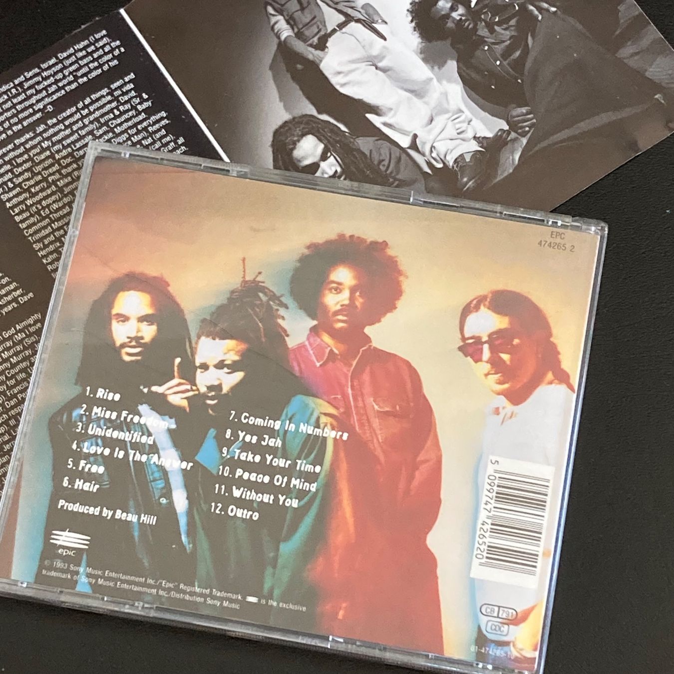 CD: Bad Brains - Rise – Usato da Bern venduto da Ntsamina 1