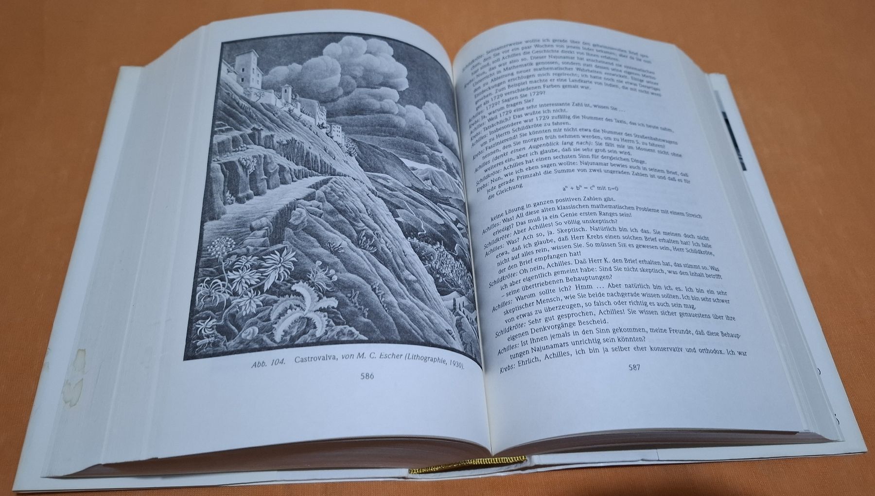 Libri: Douglas R. Hofstadter - Gödel, Escher, Bach – Usato da Zürich venduto da apf_b8zl 8