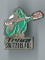 Placchette & Badge: TRISA - Pin – Usato da Zürich venduto da t24_de