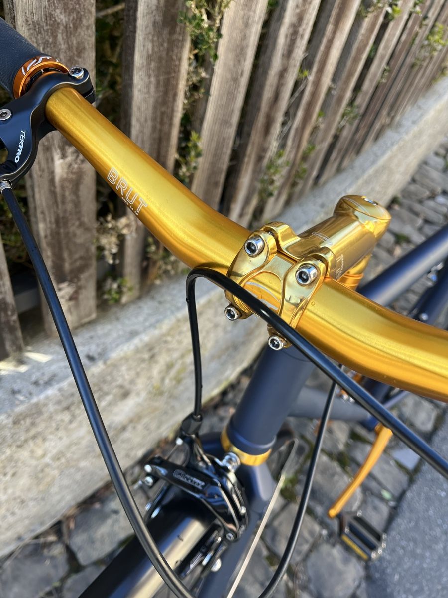 Biciclette: Elegantes Stadt Velo – Usato da Bern venduto da fel_r5br 2