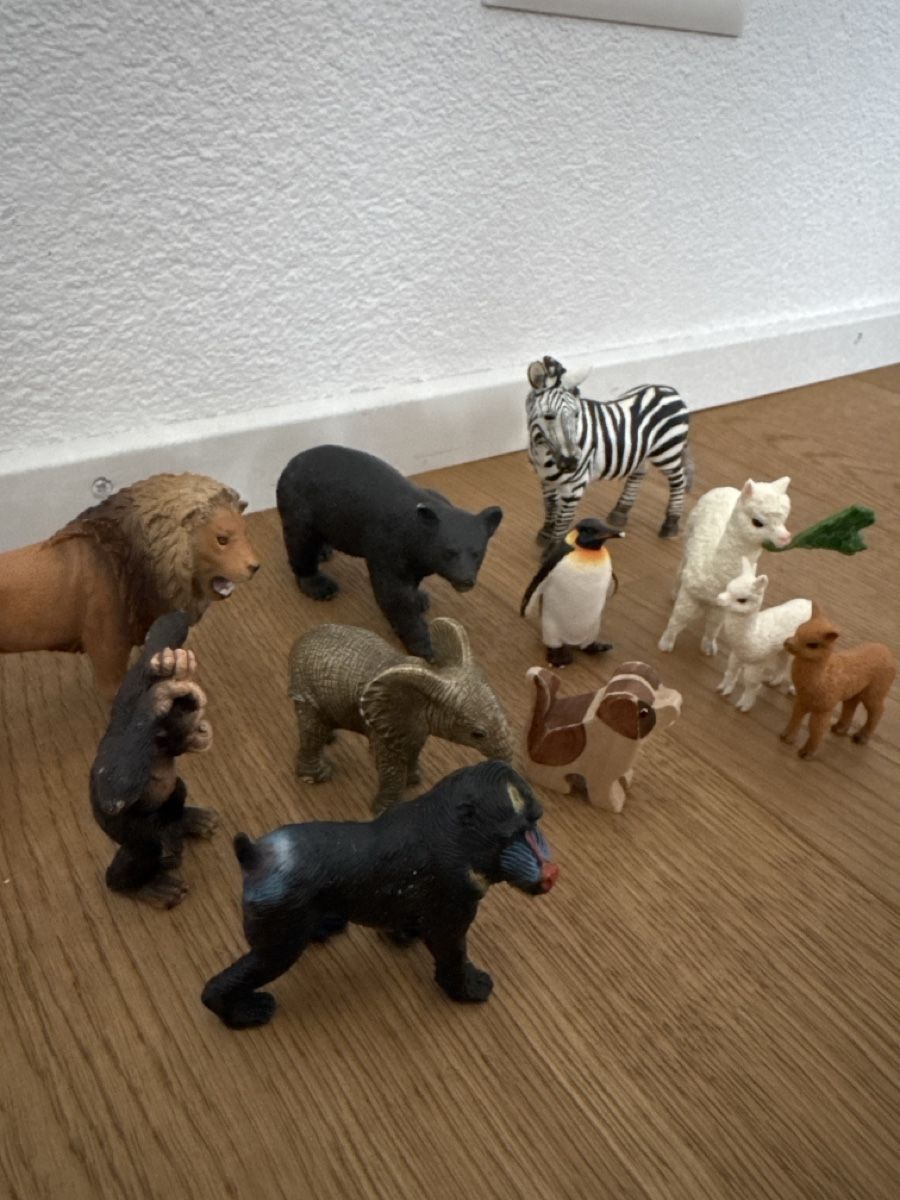Schleich Giocattoli: Schleich: Tiersammlung – Usato da Ebikon venduto da Rineichen 2