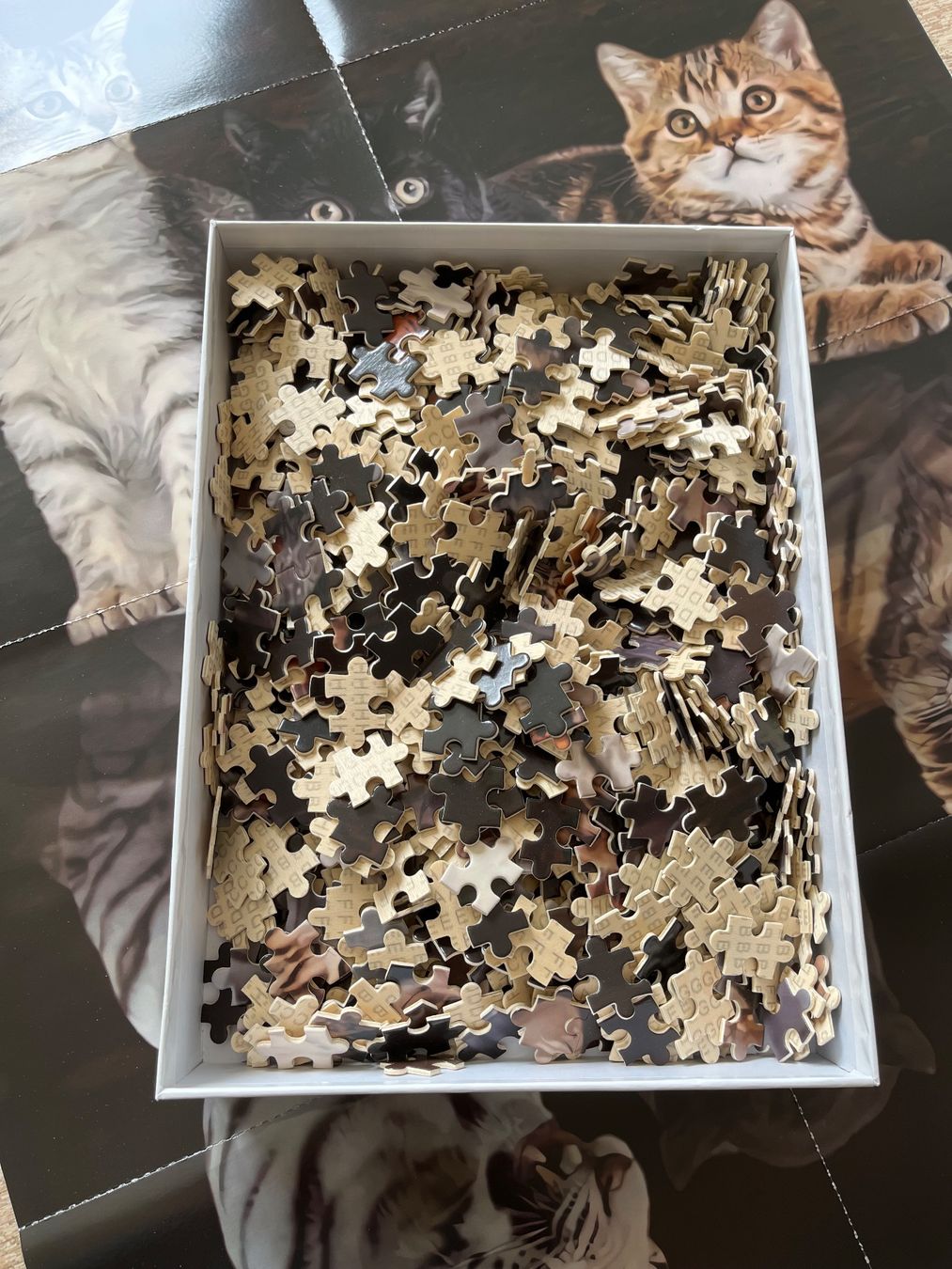 Puzzle: Jigsaw Puzzle Katzen-Tiger 1000 Teile – Usato da Eschenbach SG venduto da Joey-Li 3