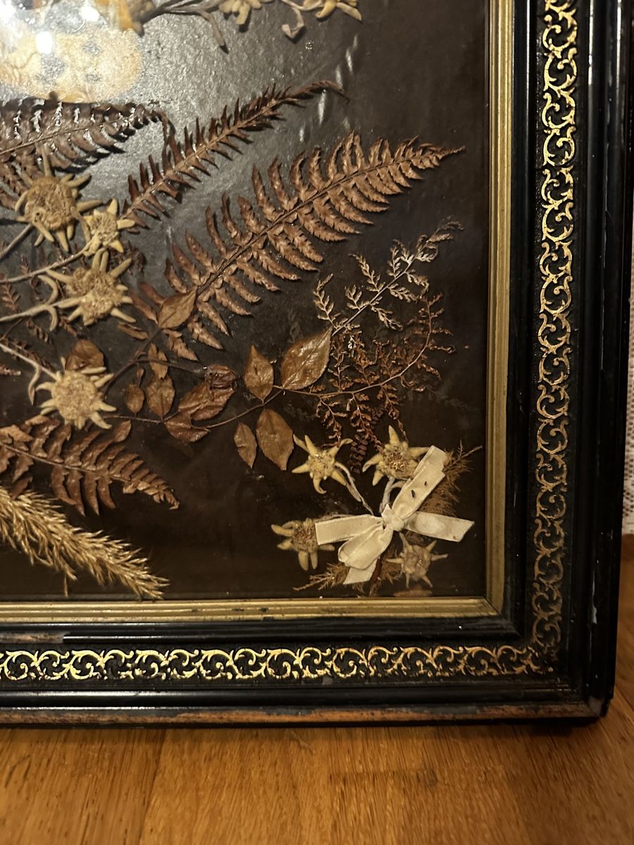 Dipinti:     Herbarium Kunstbild  – Usato da Bern venduto da HA-De 3