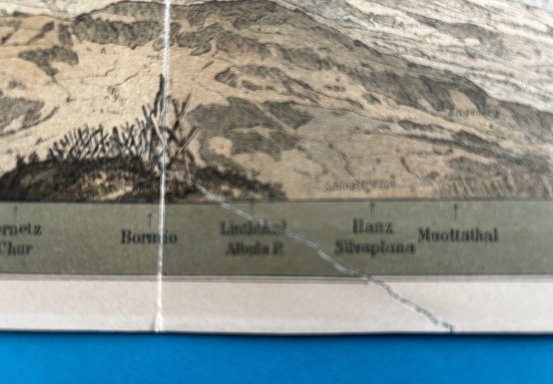 Cartine & Atlanti: PANORAMA VOM ROSSBERG (SAC 1887) – Usato da Zürich venduto da Domus09 6
