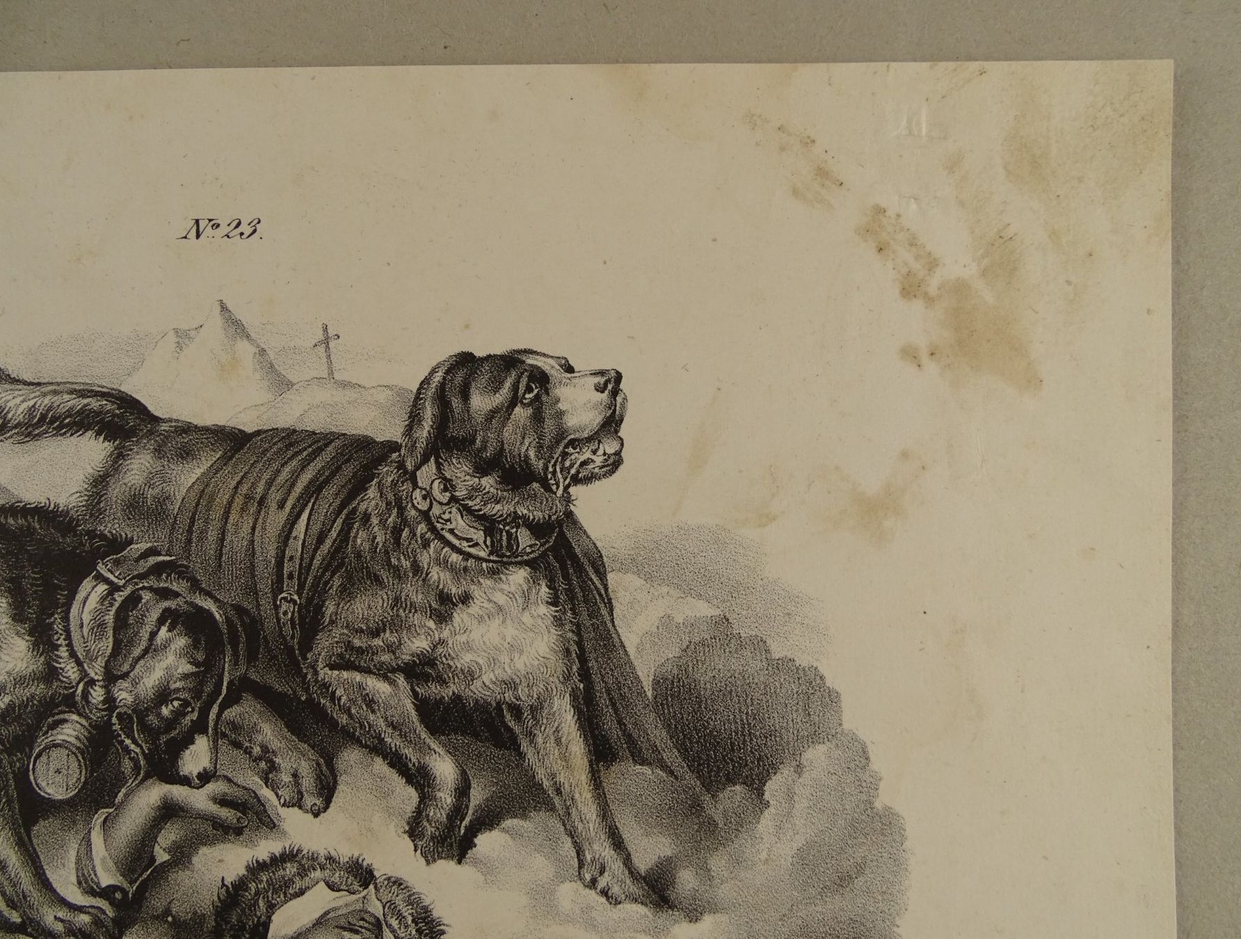 Stiche: BERNHARDINER, LITHOGRAPHIE 1840 – Gebraucht aus Grüningen von Kartensammler 4