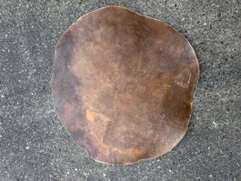 Trommelfell, Elefant Trommelhaut 60 cm 3 mm (Nr.59)