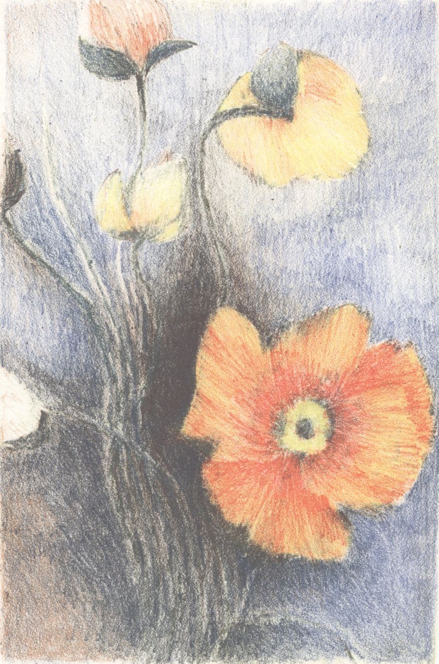 Grafiken & Lithographien: Glauser Lotti 1953 - Mohnblumen - Steindruck – Neu (gemäss Beschreibung) aus Biel/Bienne von 07helios032 1