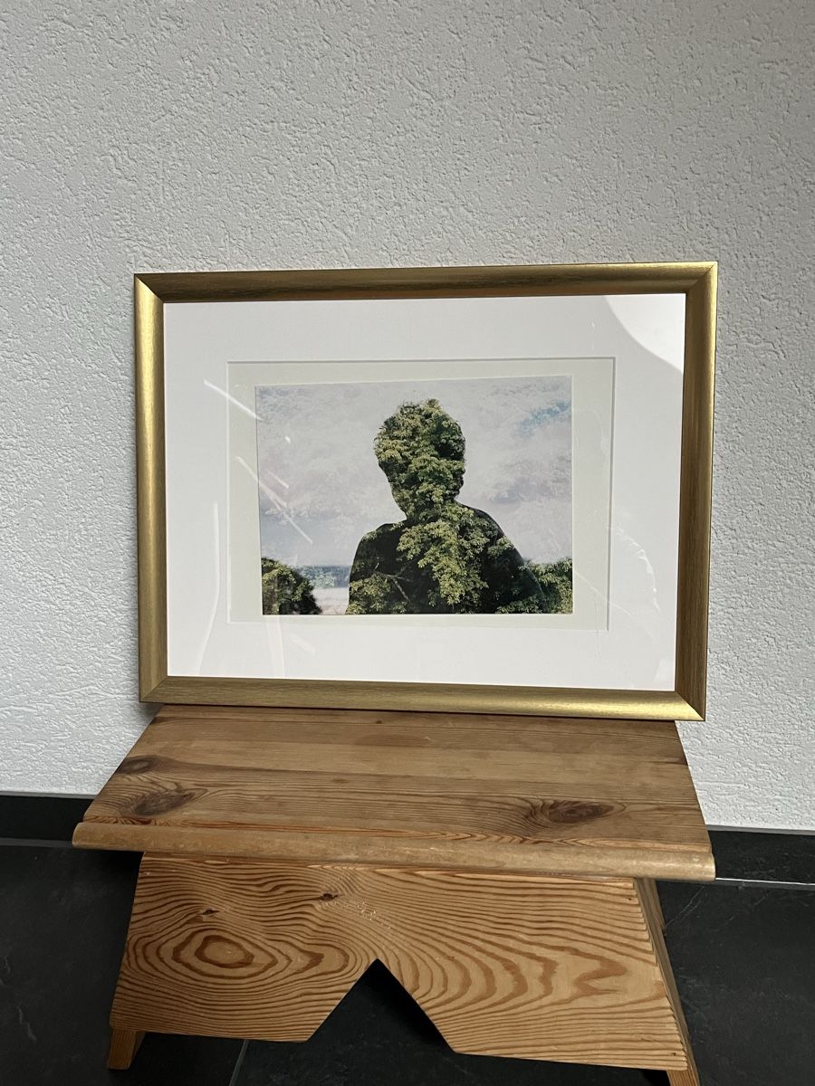 Ikea Cornici: Naturporträt im Rahmen – Usato da Bern venduto da wisemagpie 4