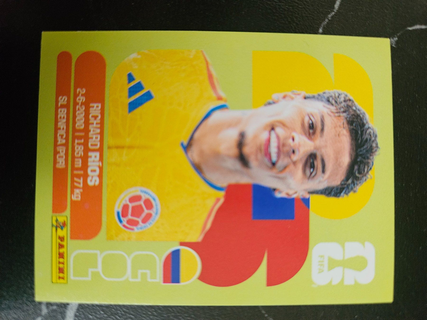 Panini Sammelbilder & Trading cards: COL12 – Gebraucht aus Würenlingen von Dinli