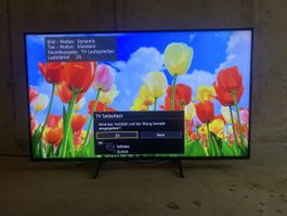 Panasonic TX-65FXW654 LED TV 65 Zoll 