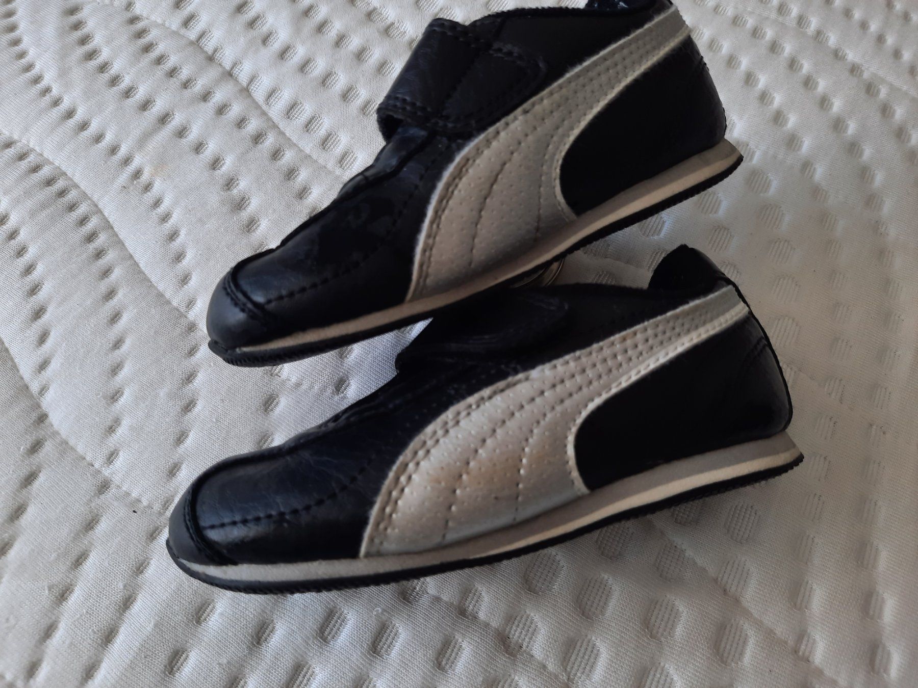 Puma Schuhe für Jungen: Puma Kinderschuhe Gr. 24,  Turnschuhe – Gebraucht aus Eschenbach LU von chriesi67 1