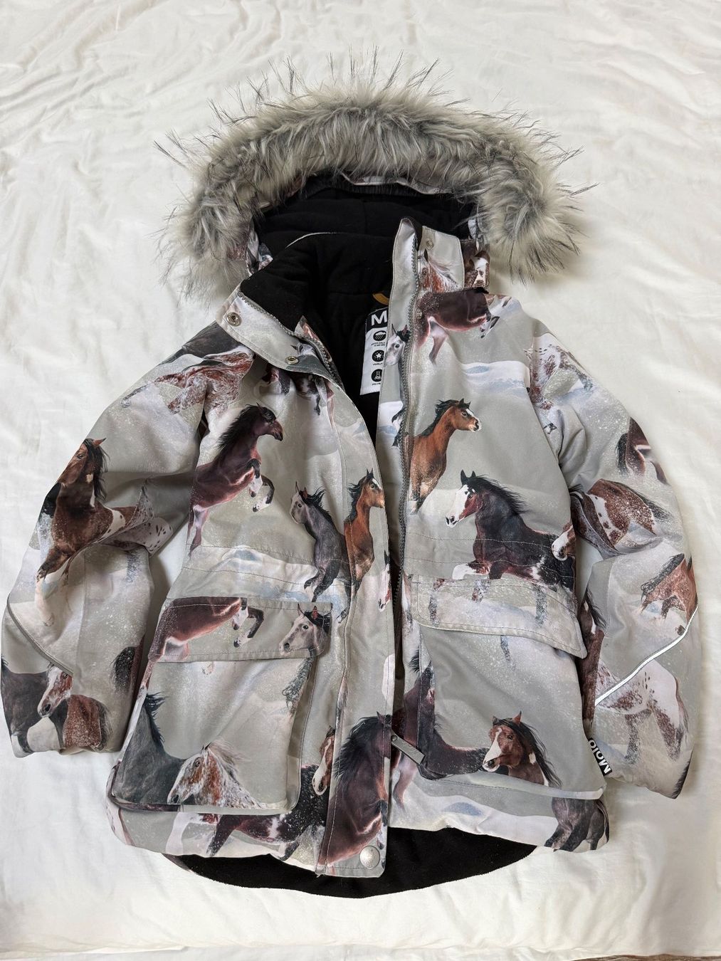 Molo Giacche & Cappotti: Molo Winterjacke – Usato da Ottenbach venduto da Truppi